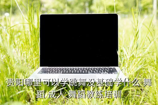 贵阳哪里可以学跳舞没基础学什么 舞蹈 成人 舞蹈教练培训