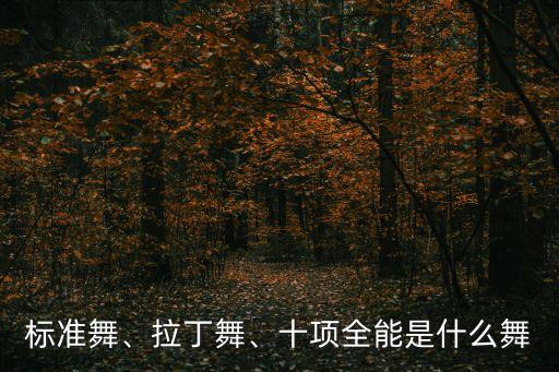 标准舞、拉丁舞、十项全能是什么舞