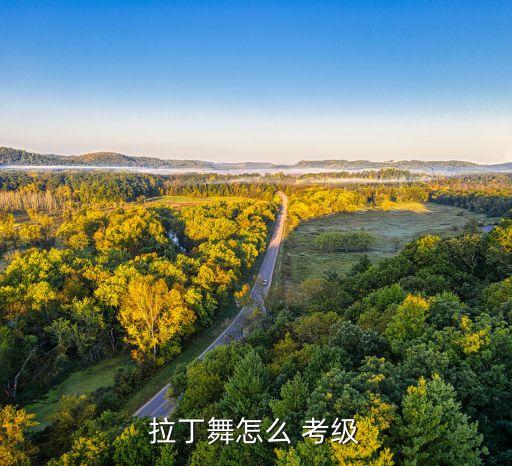 舞蹈考级报名表填写,拉丁舞考级有何看点?