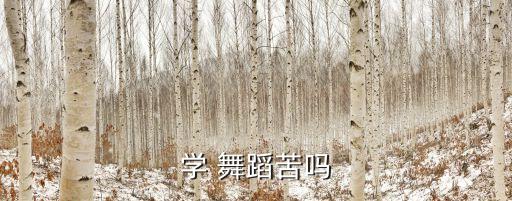 学 舞蹈苦吗