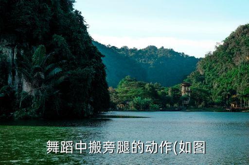  舞蹈中搬旁腿的动作(如图