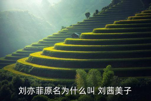 刘茜舞蹈艺术学校,刘亦菲真名刘茜miko是她的昵称