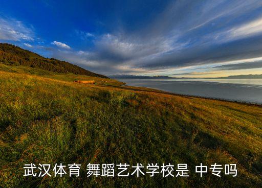 武汉体育 舞蹈艺术学校是 中专吗