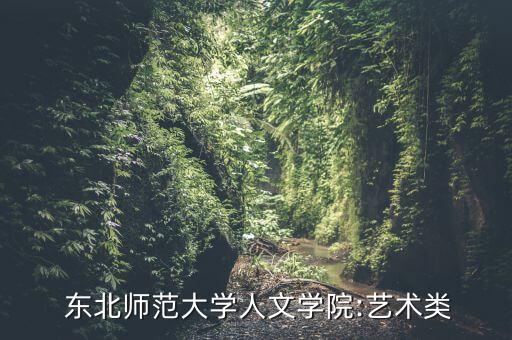  东北师范大学人文学院:艺术类