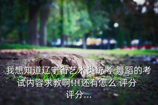 舞蹈考核评分表,中国舞蹈学院考生参加全国比赛选出真正的舞者