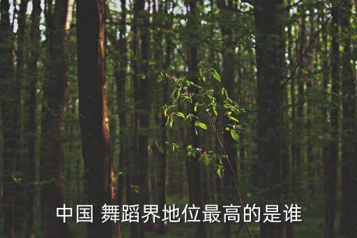中国 舞蹈界地位最高的是谁