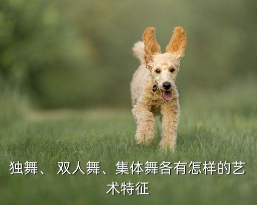 独舞、 双人舞、集体舞各有怎样的艺术特征