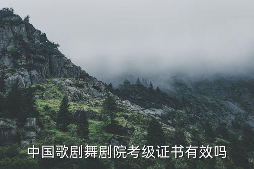 中国歌剧舞剧院考级证书有效吗
