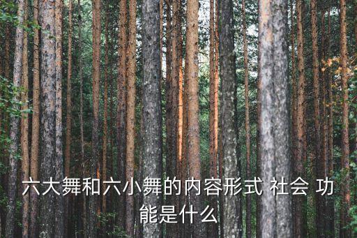 六大舞和六小舞的内容形式 社会 功能是什么