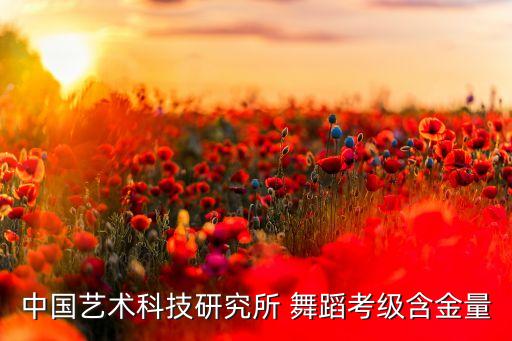 中国艺术科技研究所 舞蹈考级含金量