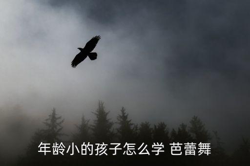 芭蕾舞蹈模块课,芭蕾舞蹈课程介绍:一文看懂