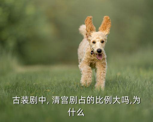 清宫韵舞蹈,舞蹈风格不一样的大清后宫