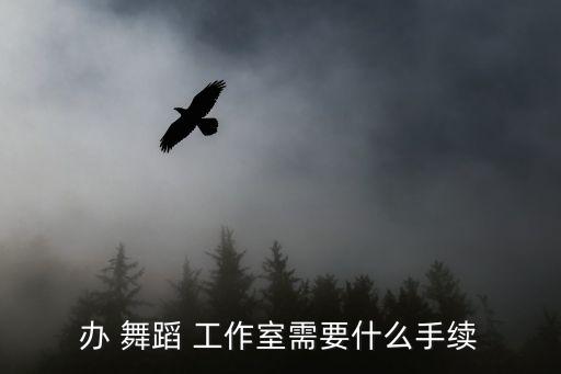 办 舞蹈 工作室需要什么手续