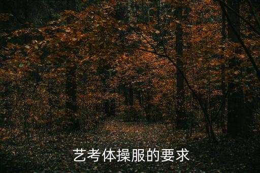  艺考体操服的要求