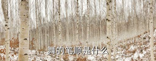 舞的笔顺是什么