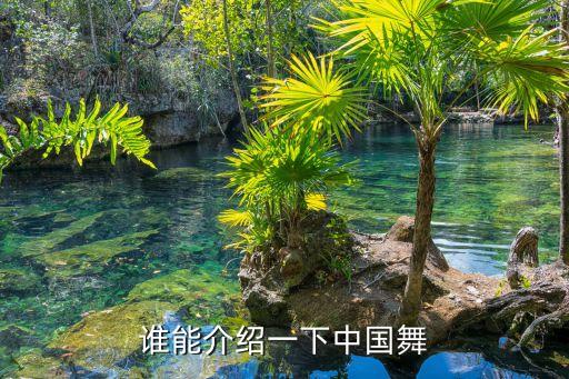 谁能介绍一下中国舞