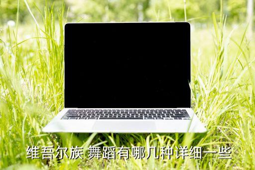  维吾尔族 舞蹈有哪几种详细一些