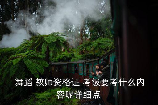  舞蹈 教师资格证 考级要考什么内容呢详细点