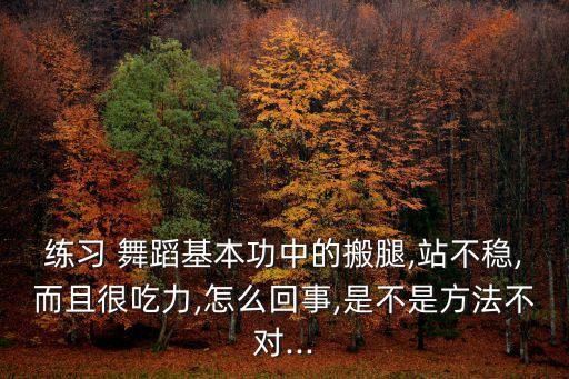 八级舞蹈考级板腿练习,什么是正确的压腿?