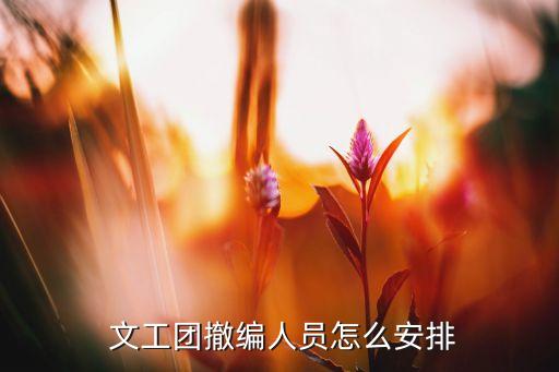  文工团撤编人员怎么安排