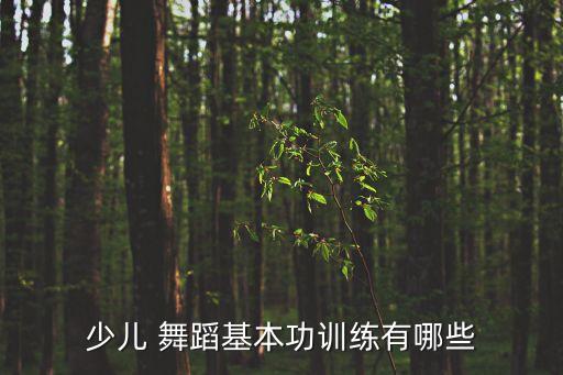 儿童舞蹈希望,关注儿童基础训练舞蹈了解更多