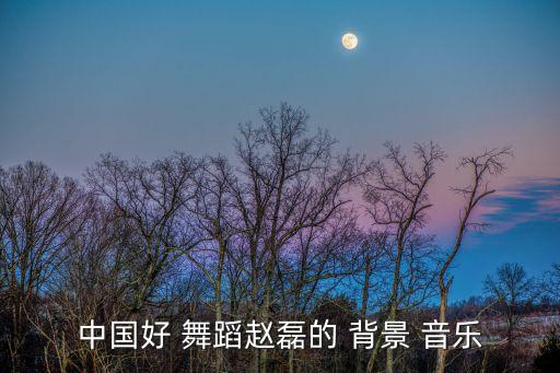 中国好 舞蹈赵磊的 背景 音乐