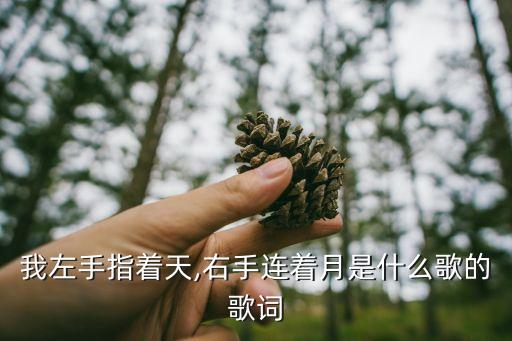 我左手指着天,右手连着月是什么歌的歌词