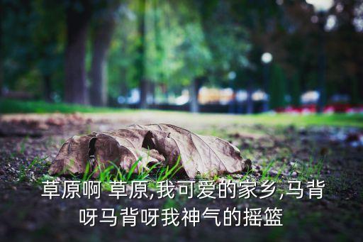  草原啊 草原,我可爱的家乡,马背呀马背呀我神气的摇篮