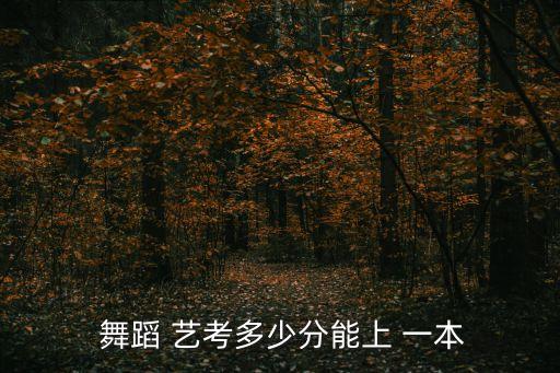  舞蹈 艺考多少分能上 一本