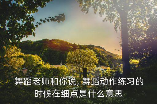 舞蹈 连贯 准确,我也不是特别喜欢跳舞所以我学不到东西
