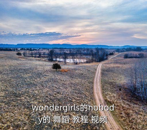 女士舞蹈视频教程,舞蹈虽好看不失华丽丽的外表