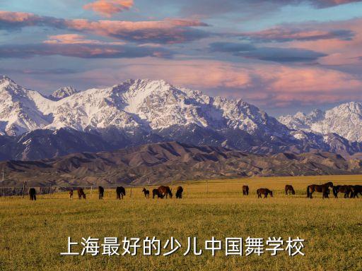  上海最好的少儿中国舞学校