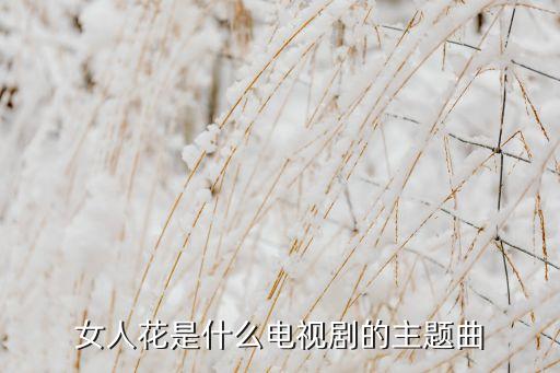 土豆网形体舞蹈女人花,两姐妹各有半个玉佩一块捐出一万元