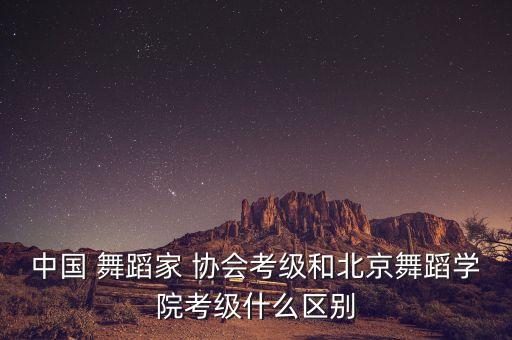 中国舞蹈家协会十级卡农,北京舞蹈学院考试等级分为13级