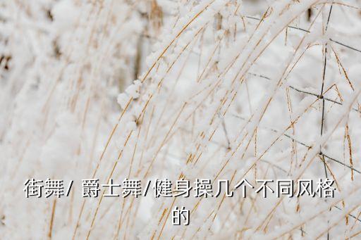 街舞/ 爵士舞/健身操几个不同风格的