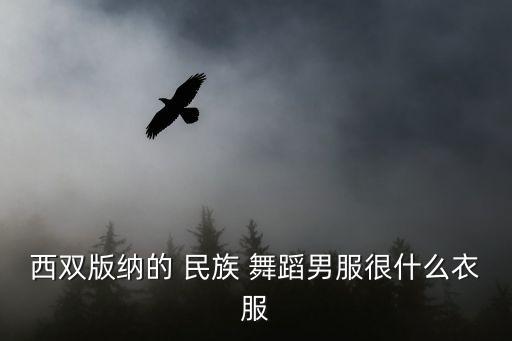民族舞蹈服中袖套装,舞蹈服装分三种类型