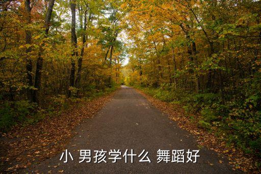 小 男孩学什么 舞蹈好