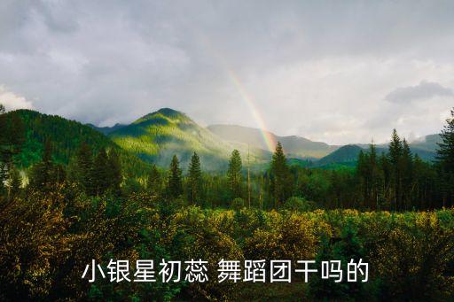 小银星初蕊 舞蹈团干吗的