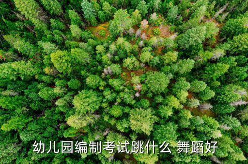  幼儿园编制考试跳什么 舞蹈好