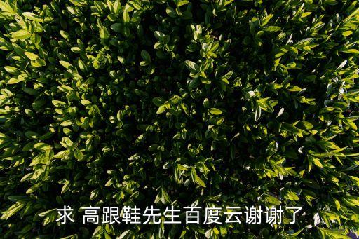 求 高跟鞋先生百度云谢谢了