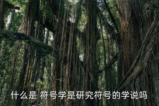 什么是 符号学是研究符号的学说吗