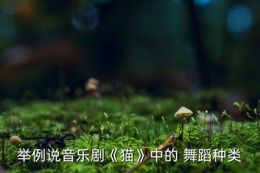 举例说音乐剧《猫》中的 舞蹈种类