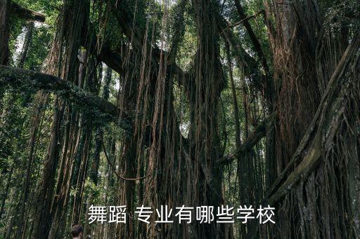  舞蹈 专业有哪些学校