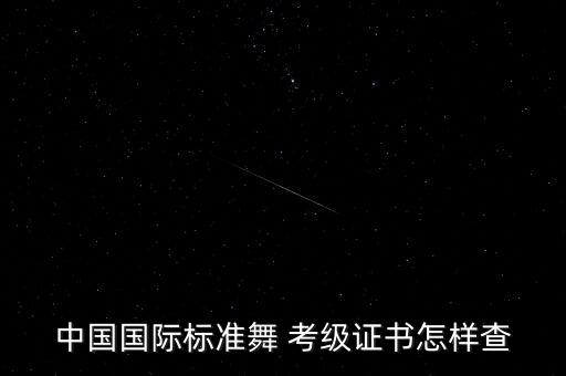 中国国际标准舞 考级证书怎样查