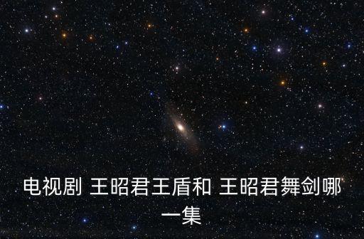 电视剧 王昭君王盾和 王昭君舞剑哪一集