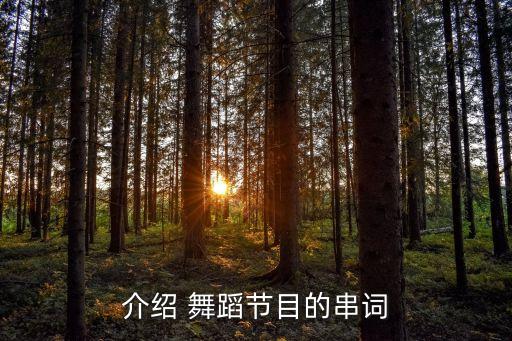 舞蹈《欢乐中国年》,欢乐不怕重复，快乐不会累