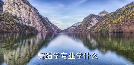 舞蹈学课程,舞蹈专业英语、文献检索与利用等课程设置
