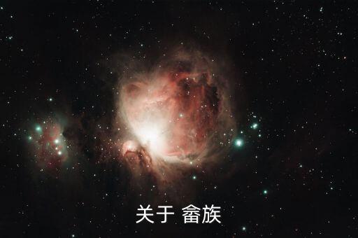 畲族舞蹈的服装,畲族经济活动主要发展种植业、开山、开荒等等