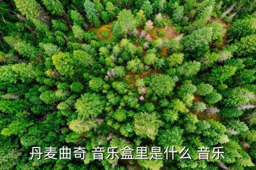 丹麦曲奇 音乐盒里是什么 音乐