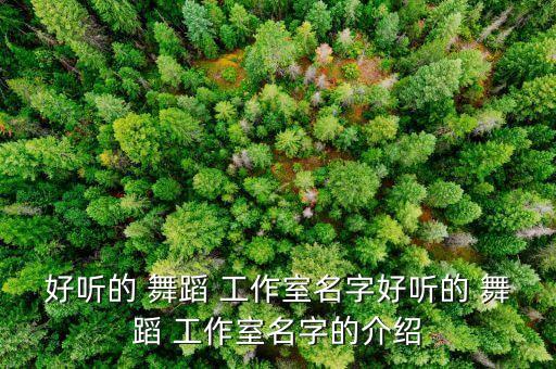 好听的 舞蹈 工作室名字好听的 舞蹈 工作室名字的介绍
